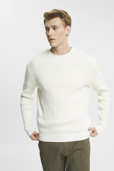 Sweaters Ice Men Esprit Rib knit jumper V48Z763