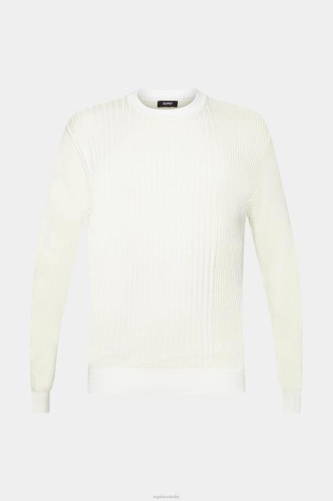 Sweaters Ice Men Esprit Rib knit jumper V48Z763
