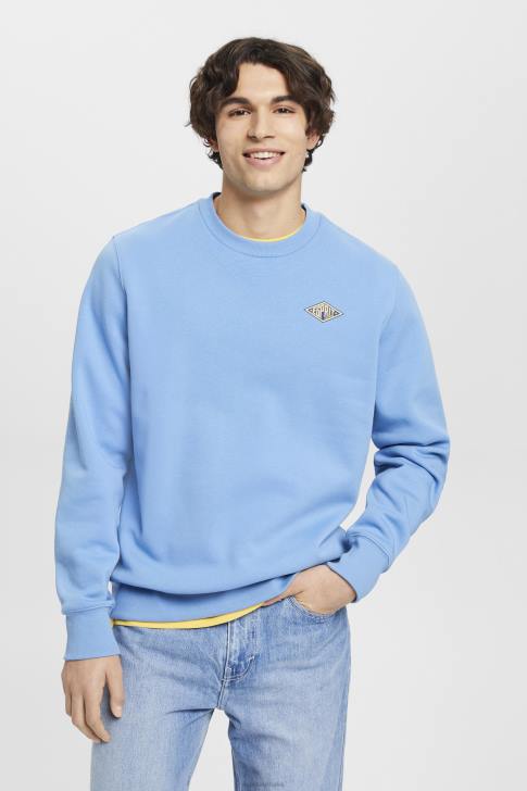 Sweatshirts & Hoodies Light Blue Lavender Men Esprit Sweatshirt with logo print on the back V48Z647