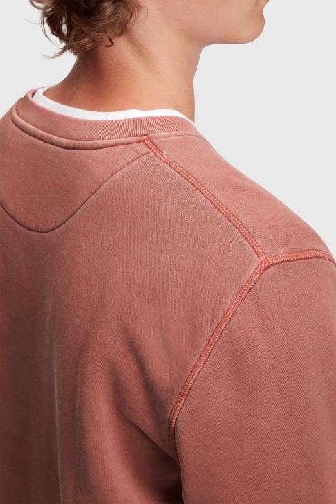 Sweatshirts & Hoodies Terracotta Men Esprit Sustainable crew neck sweatshirt V48Z937