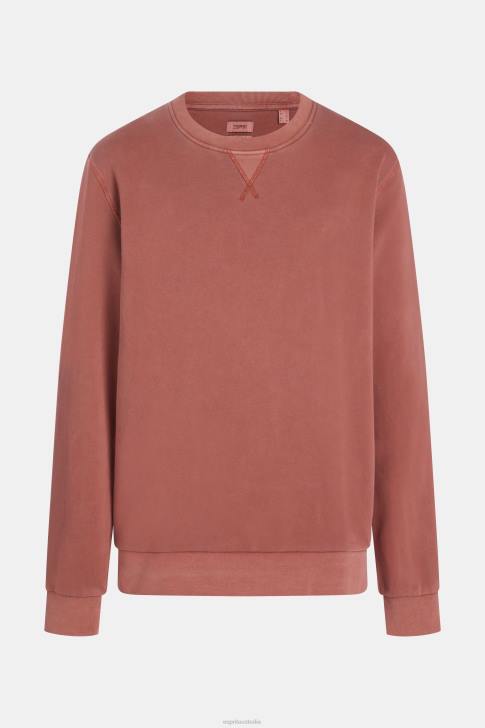 Sweatshirts & Hoodies Terracotta Men Esprit Sustainable crew neck sweatshirt V48Z937