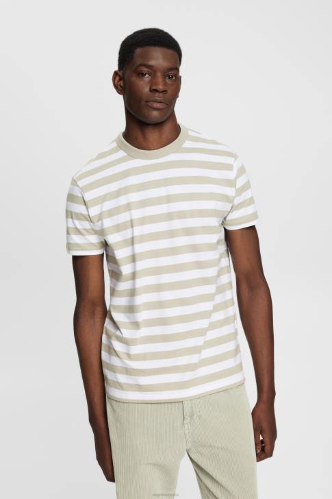 T-Shirts Dusty Green Men Esprit Striped crewneck T-shirt V48Z768