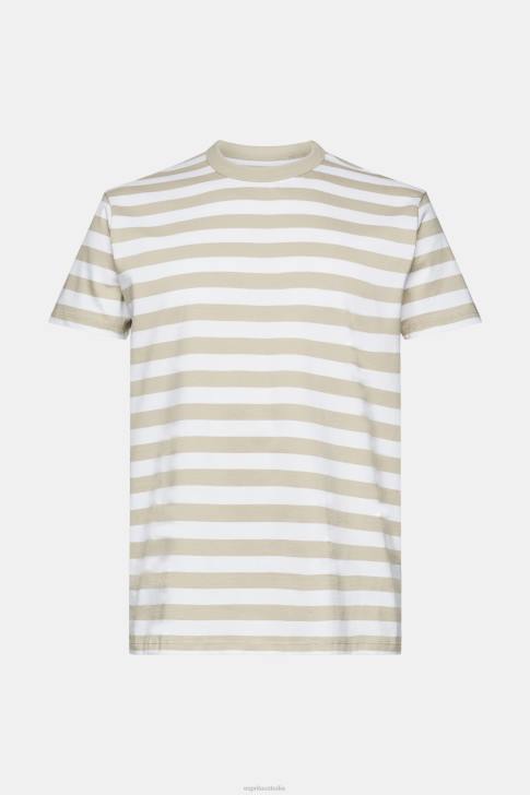 T-Shirts Dusty Green Men Esprit Striped crewneck T-shirt V48Z768