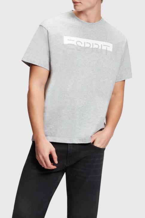 T-Shirts Light Grey Men Esprit Matte shine logo applique t-shirt V48Z615